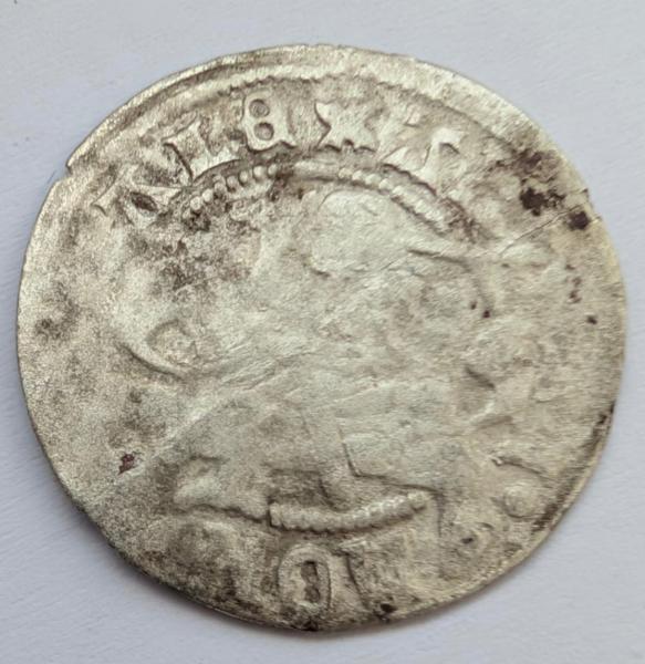 Aleksandro Jogailaičio 1495-1506 pusgrašis 