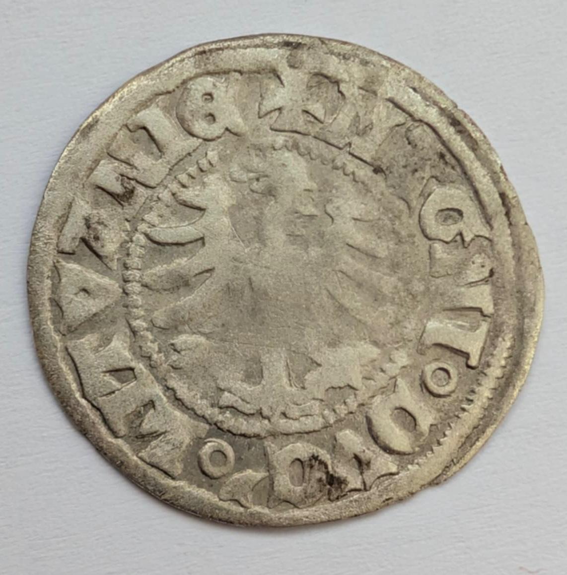 Aleksandro Jogailaičio renesansinis pusgrašis 1495-1506