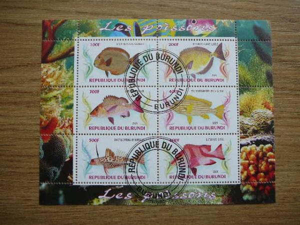 g044 Zuvys Burundis 2009 antsp.