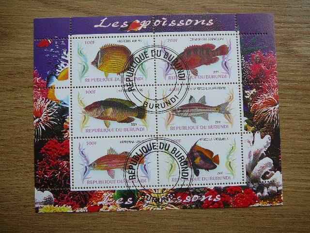 g045 Zuvys Burundis 2009 antsp.