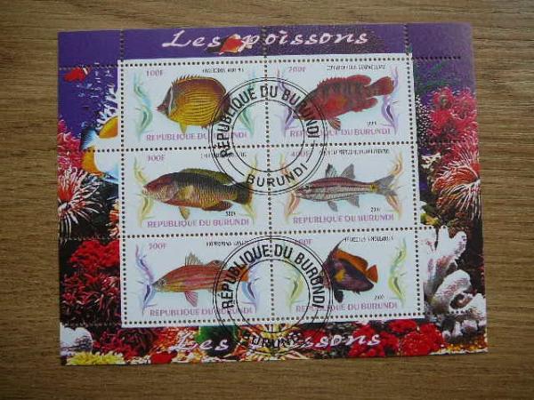 g045 Zuvys Burundis 2009 antsp.