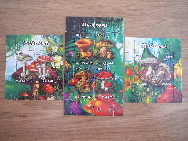 g437/9 Grybai Malavis 2011 antsp. #