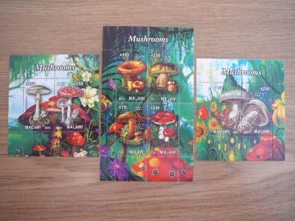 g437/9 Grybai Malavis 2011 antsp. #