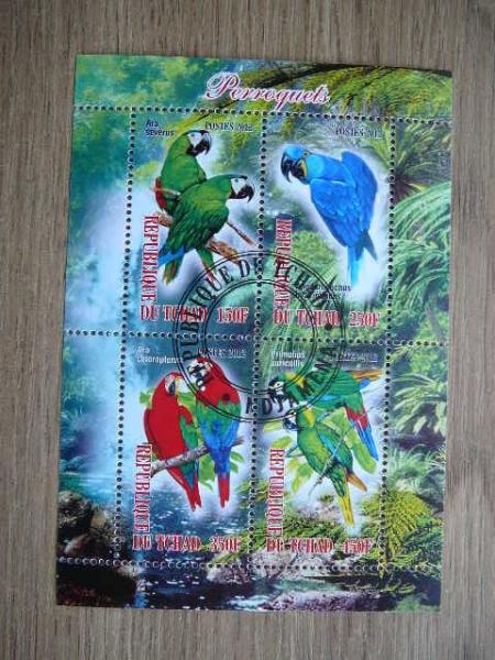 g538 Papugos Pauksciai Cadas 2012 antsp.