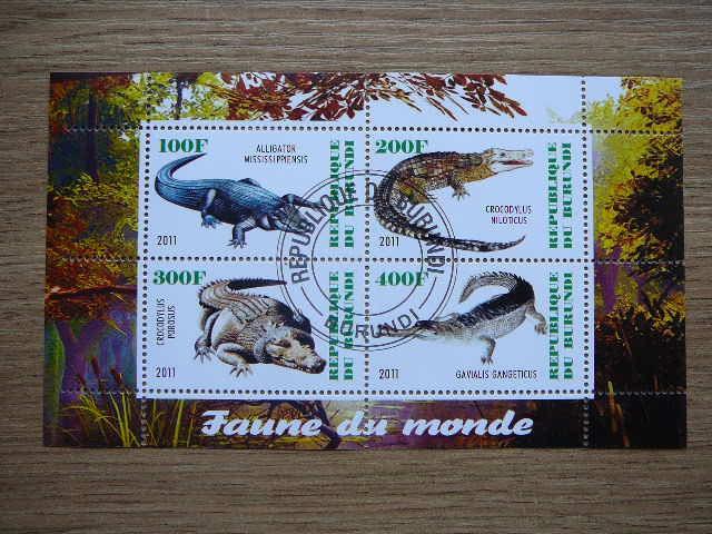 j211 Krokodilai Burundis 2011 antsp. #