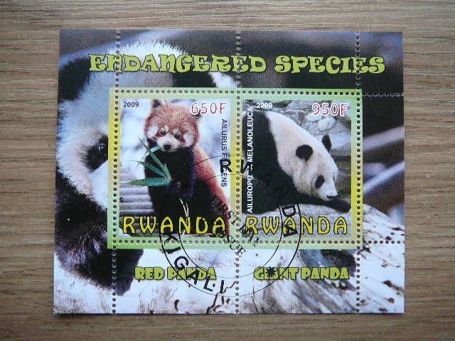 s373 Pandos Meskos Ruanda 2009 antsp.