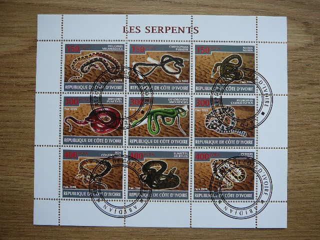 s475 Gyvates Ropliai Ivory Coast 2009 antsp. #