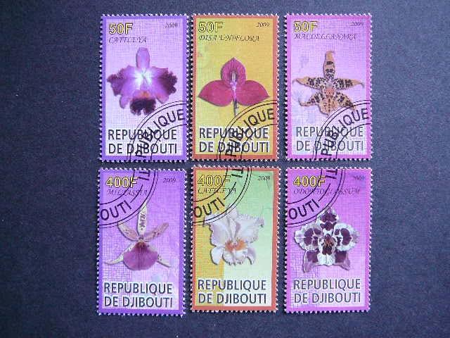 s547/9 Orchidejos Geles Dzibutis 2009 ansp. #