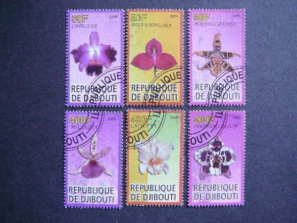 s547/9 Orchidejos Geles Dzibutis 2009 ansp. #