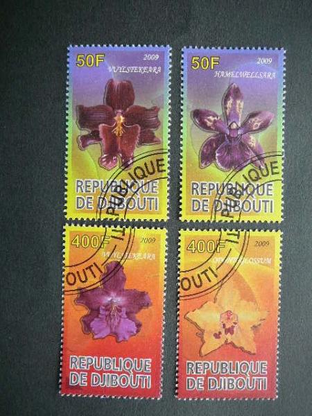 s553/4 Orchidejos Geles Dzibutis 2009 antsp. #