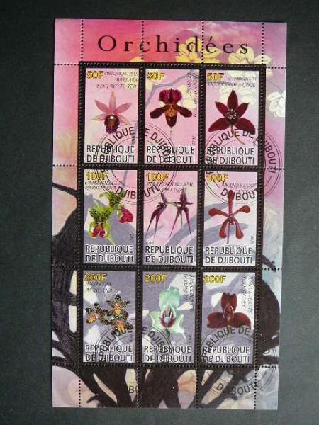 s614 Orchidejos Geles Dzibutis 2010 antsp. #