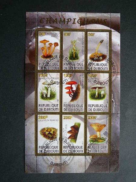 s615 Grybai Dzibutis 2010 antsp. #