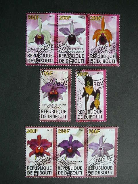 s687 Orchidejos Geles Dzibutis 2010 antsp. #