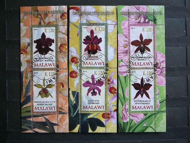 s748/0 Orchidejos Geles 2010 Malavis antsp. #