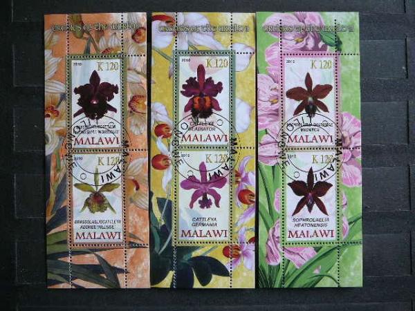 s748/0 Orchidejos Geles 2010 Malavis antsp. #