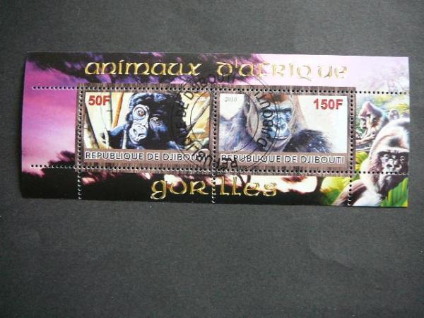 s799 Bezdziones Dzibutis 2010 antsp. #