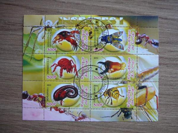 s825 Vabalai Vabzdziai Kongas 2010 antsp. #