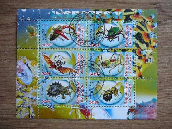 s826 Vabalai Vabzdziai Kongas 2010 antsp. #