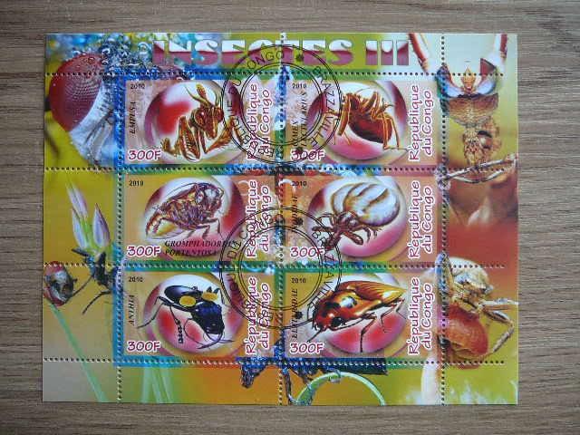 s827 Vabalai Vabzdziai Kongas 2010 antsp. #