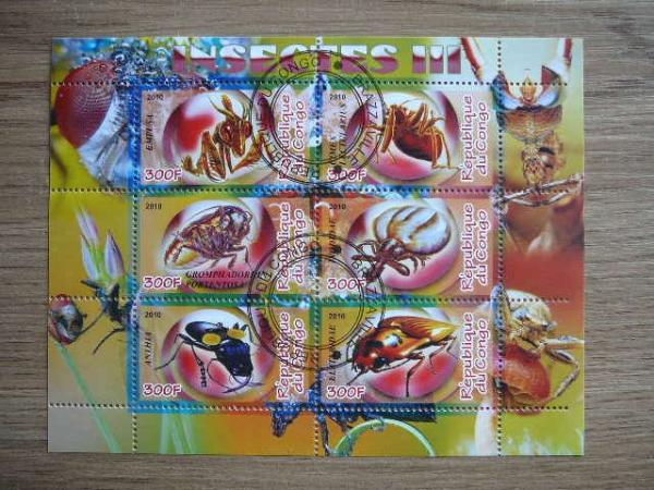 s827 Vabalai Vabzdziai Kongas 2010 antsp. #