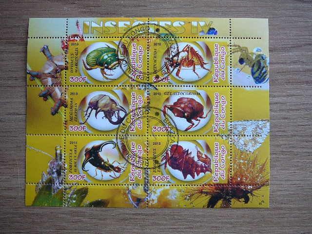 s828 Vabalai Vabzdziai Kongas 2010 antsp. # 