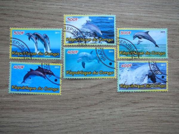 s912 Delfinai Kongas 2011 antsp. #