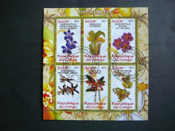 s952 Orchidejos Geles Kongas 2011 antsp. #