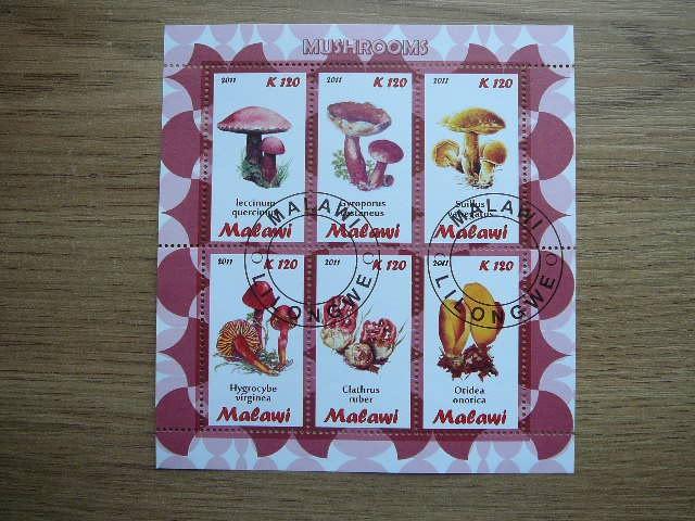 s983 Grybai Malavis 2011 antsp. #