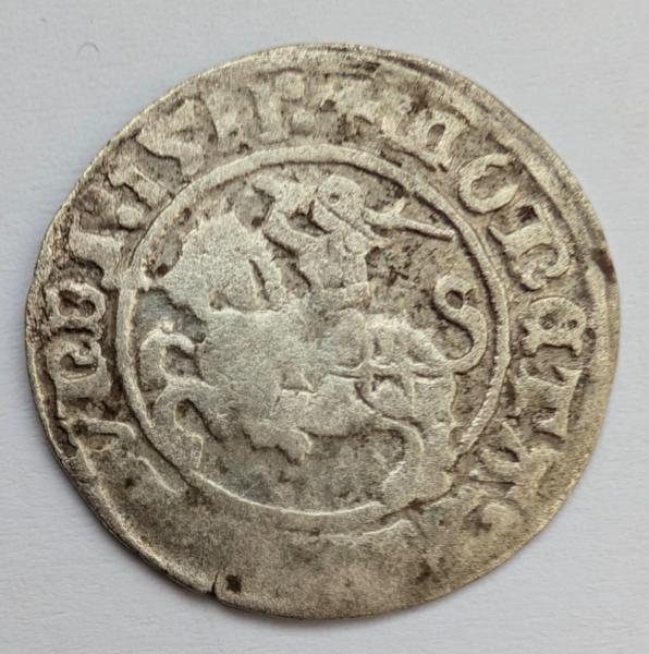 Žygimanto Senojo 1511 pusgrašis 