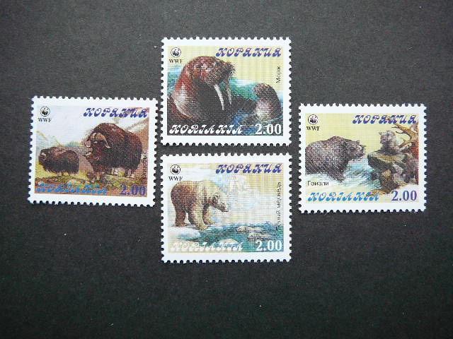 (R) Koriakija 2000 Meskos Veplys svarus #