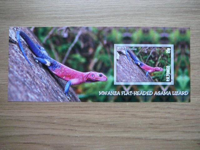 Driezai Reptilijos Tonga 2010 svarus #338