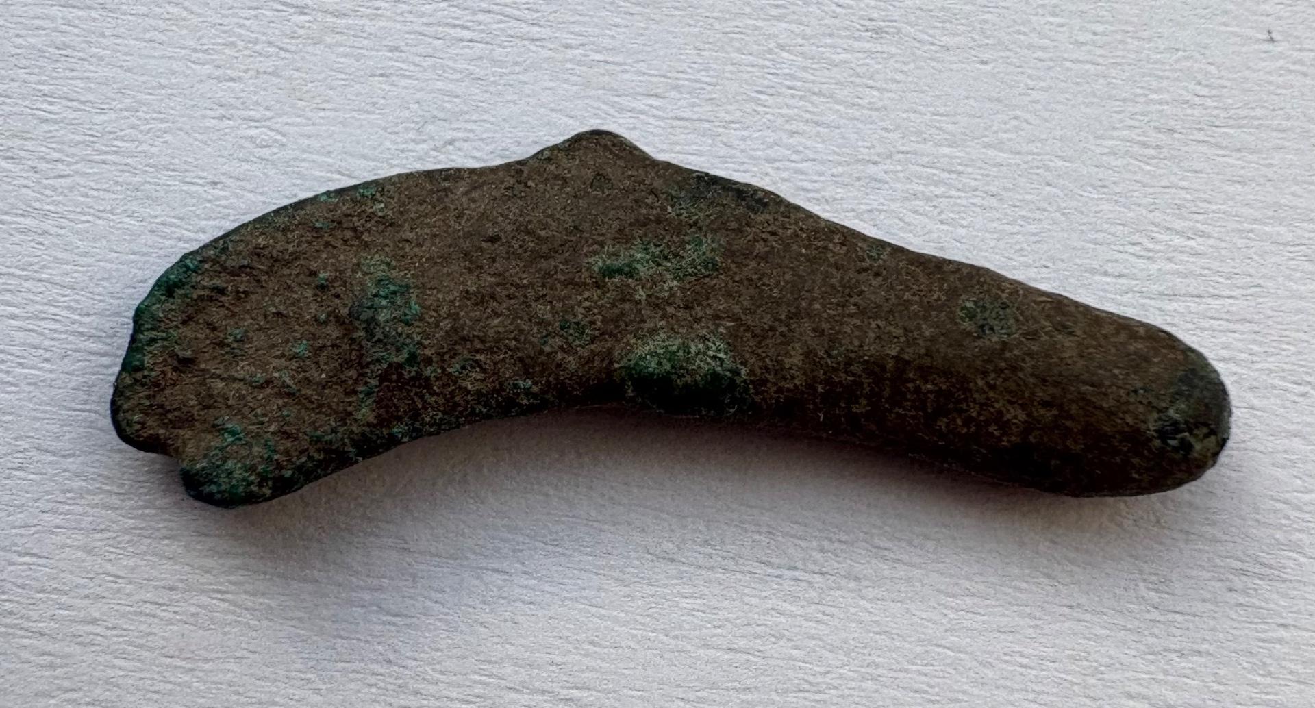 Olivija delfinas-pinigas 5-3a pr. Kr