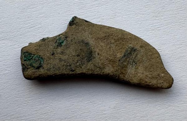 Olbija delfinas-pinigas 5-3a pr Kr su OY raidėmis 