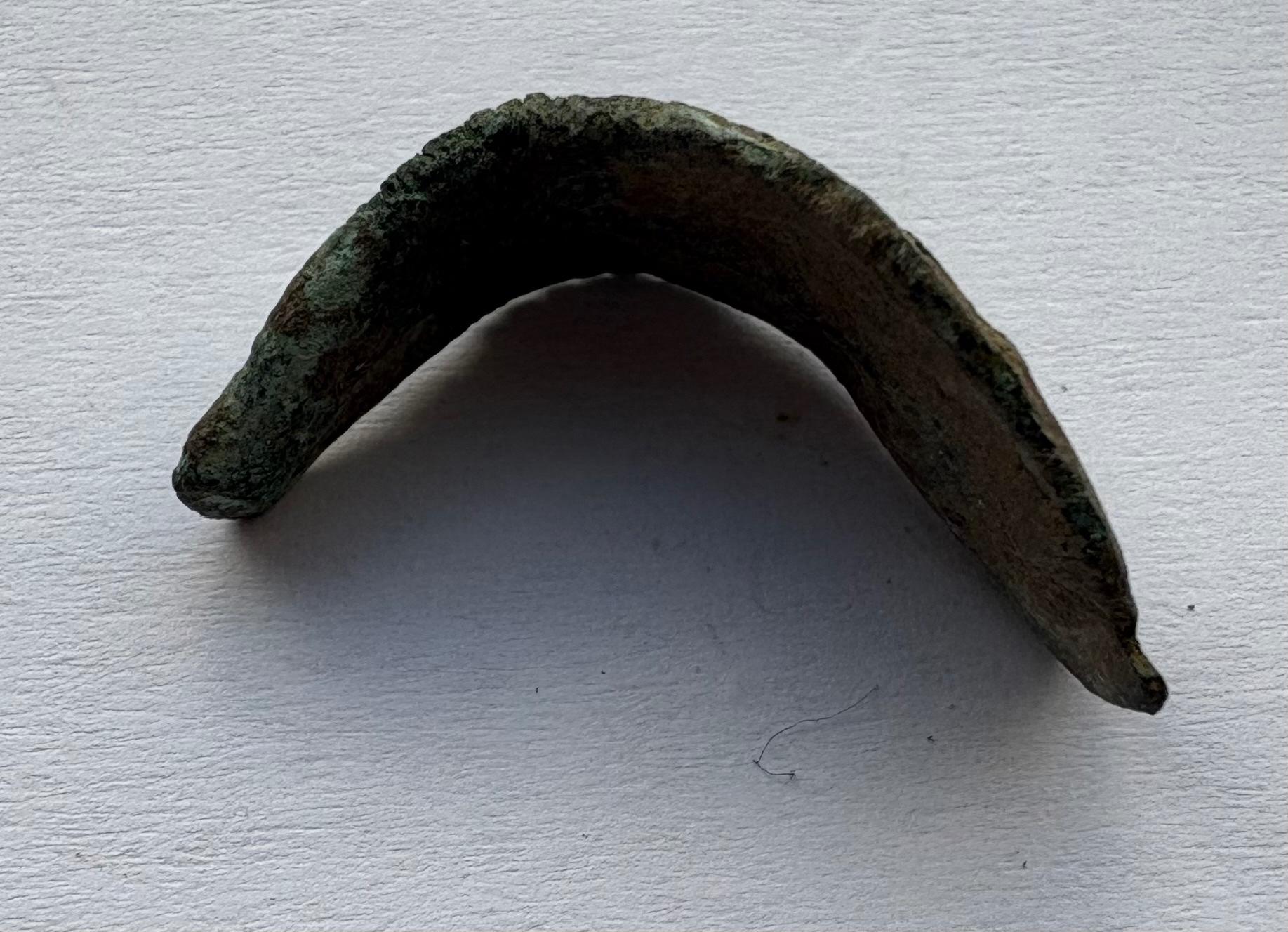 Olbija delfinas-pinigas 5-3a pr Kr 