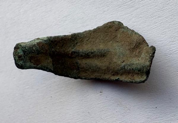 Olbija delfinas-pinigas 5-3a pr Kr 