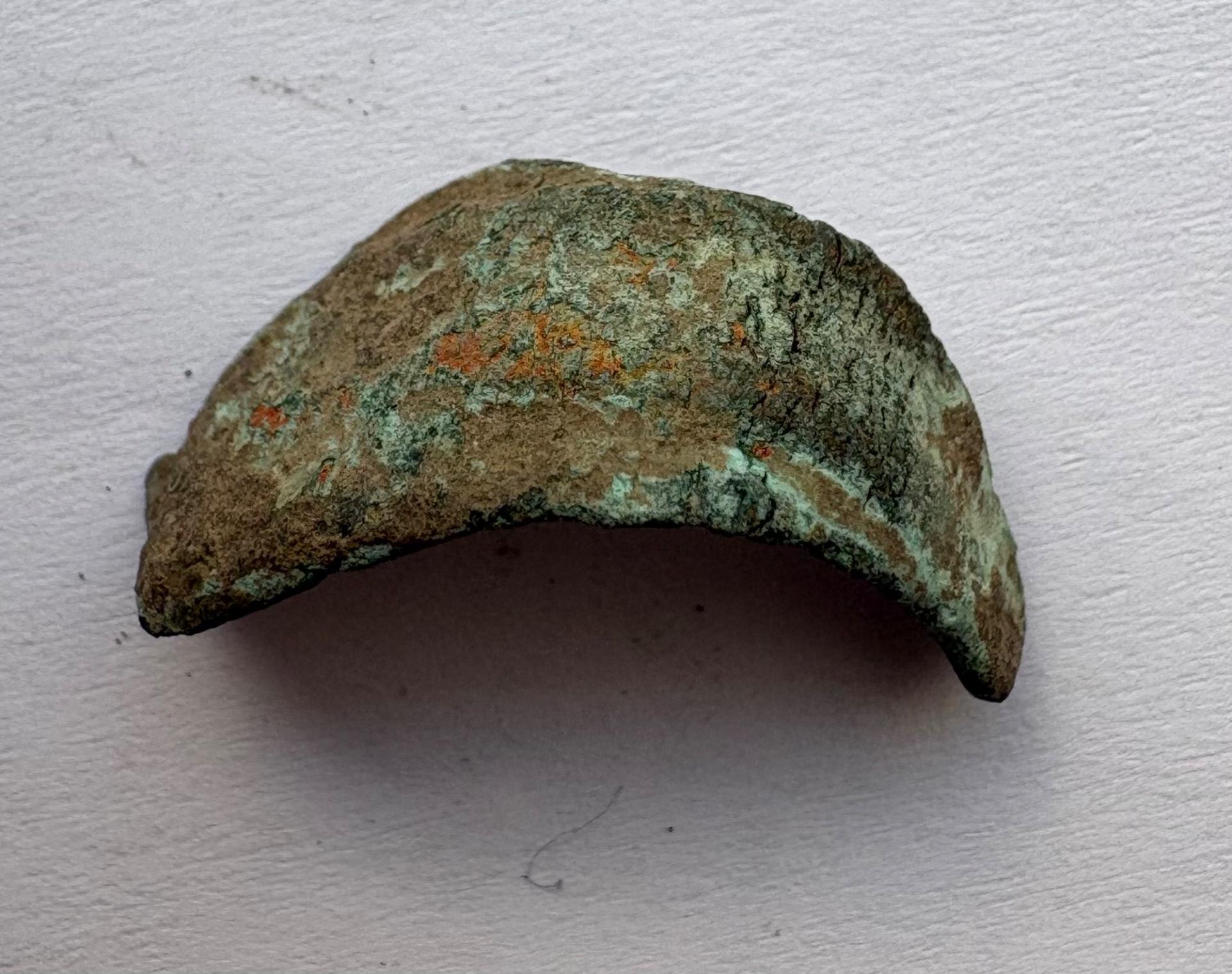 Olbija delfinas-pinigas 5-3a pr Kr 