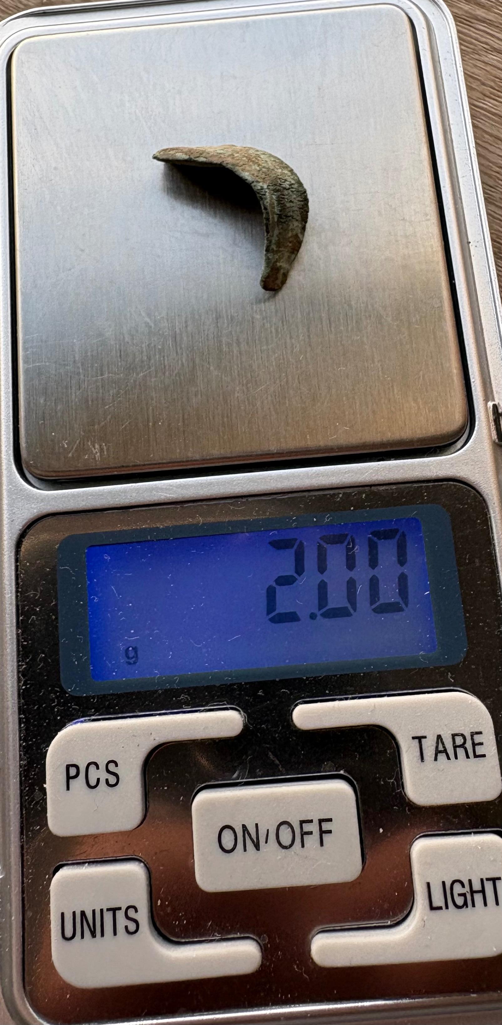 Olbija delfinas-pinigas 5-3a pr Kr 