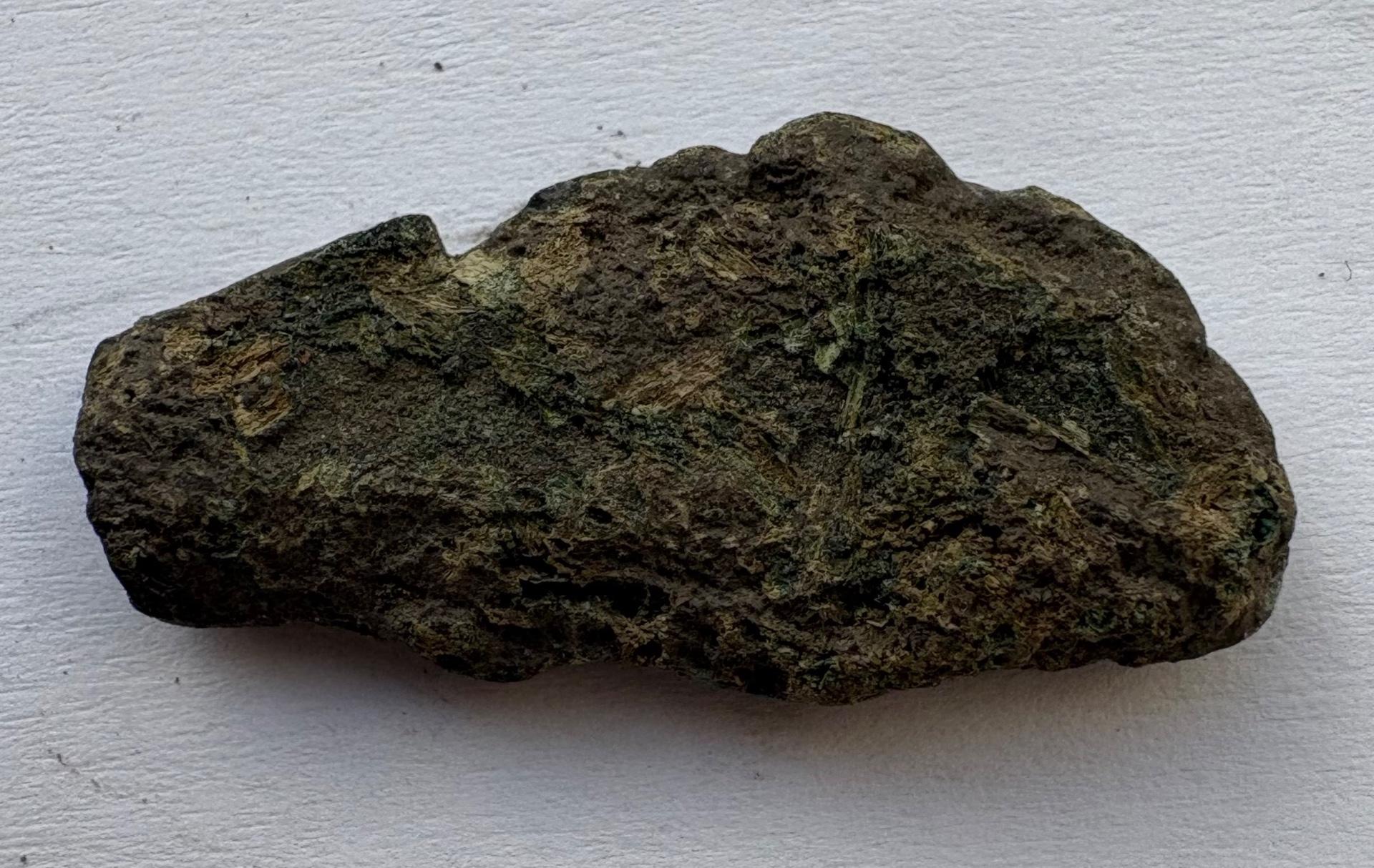 Olbija delfinas-pinigas 5-3a pr Kr