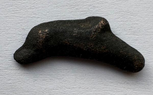 Olbija delfinas-pinigas 5-3a pr Kr 