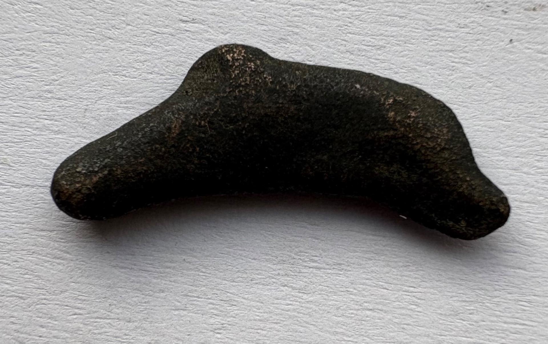 Olbija delfinas-pinigas 5-3a pr Kr 