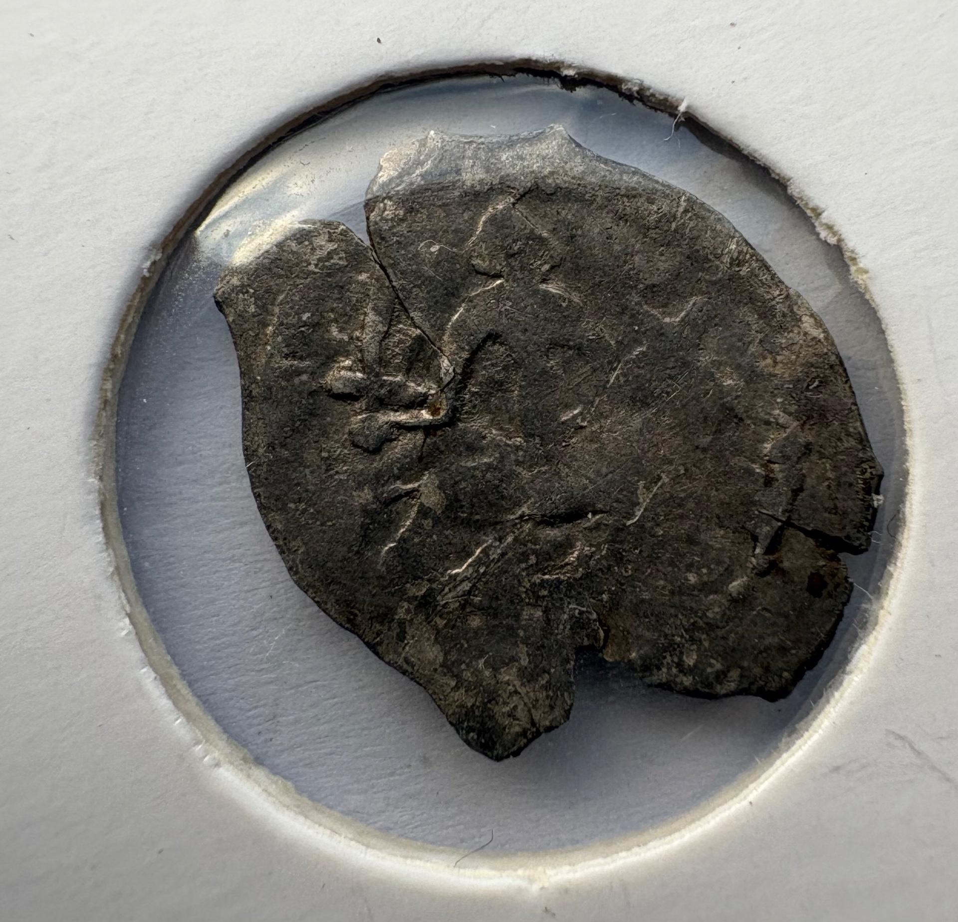 Kazimieras Jogailaitis 1440-1492 denaras