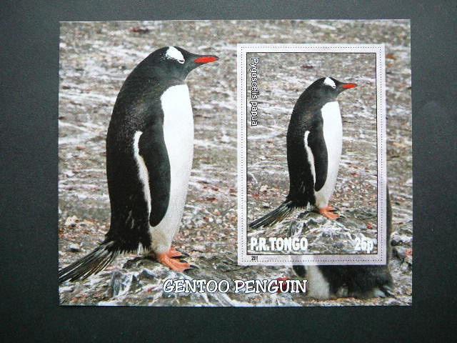 Pingvinai Pauksciai Tonga 2011 svarus #032bd
