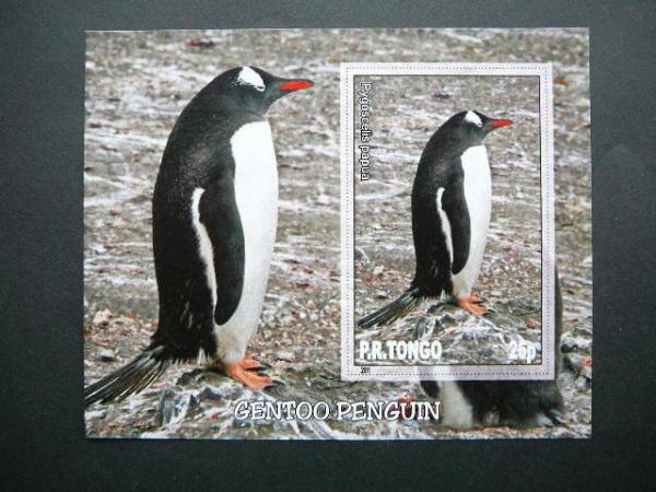 Pingvinai Pauksciai Tonga 2011 svarus #032bd
