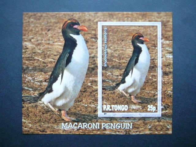 Pingvinai Pauksciai Tonga 2011 svarus #033bd