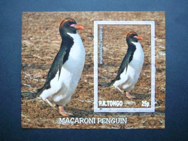 Pingvinai Pauksciai Tonga 2011 svarus #033bd