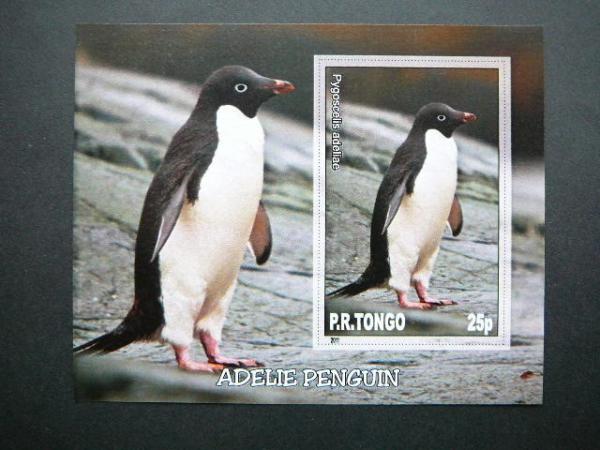 Pingvinai Pauksciai Tonga 2011 svarus #035bd 