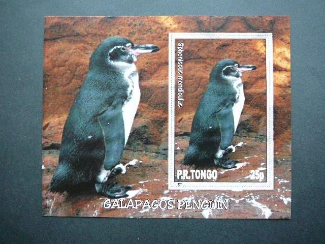 Pingvinai Pauksciai Tonga 2011 svarus #036bd 