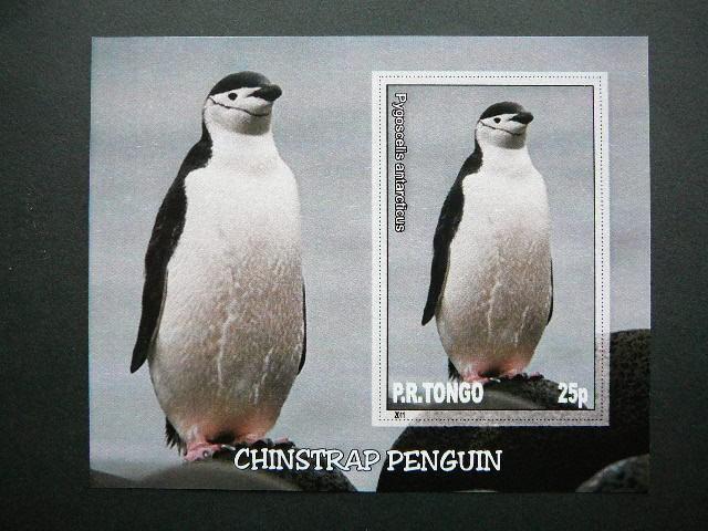 Pingvinai Pauksciai Tonga 2011 svarus #037bd