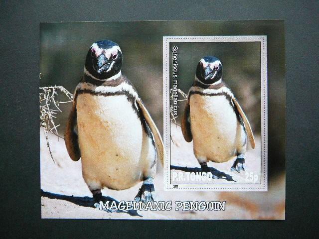Pingvinai Pauksciai Tonga 2011 svarus #040bd