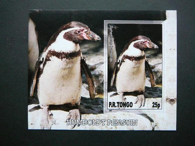 Pingvinai Pauksciai Tonga 2011 svarus #042bd